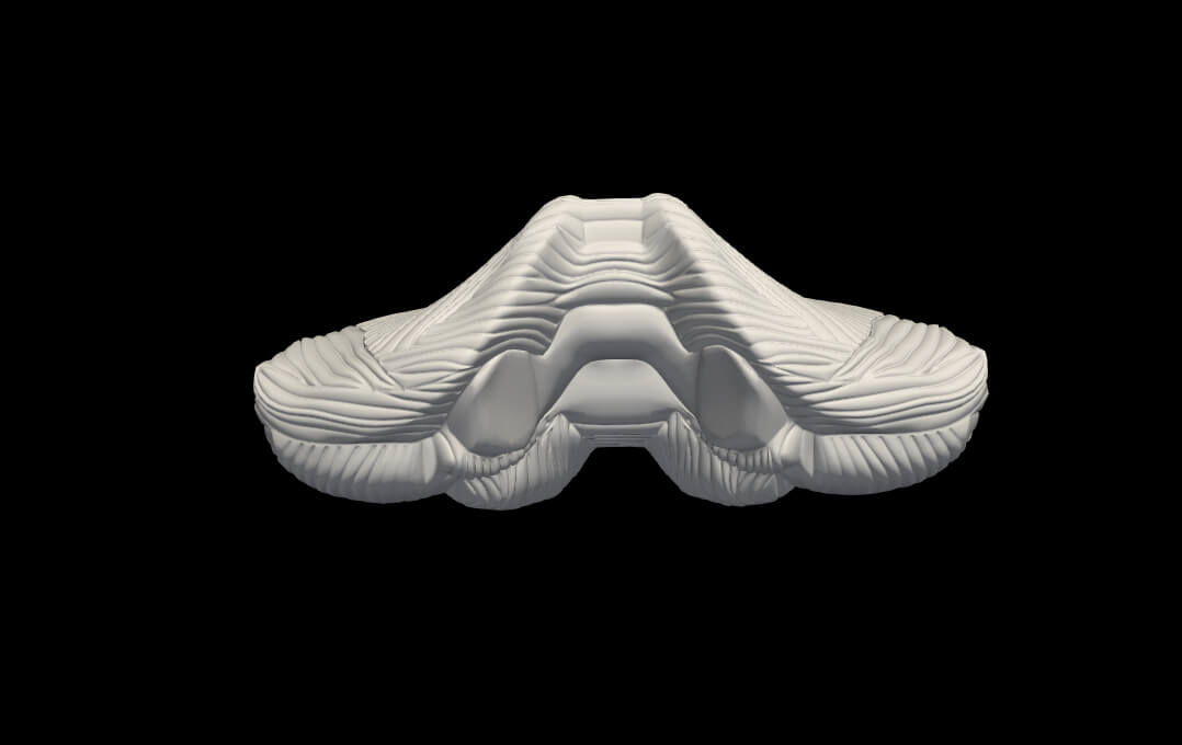 3D Model of Brain Stem and Cerebellum by azekapeka