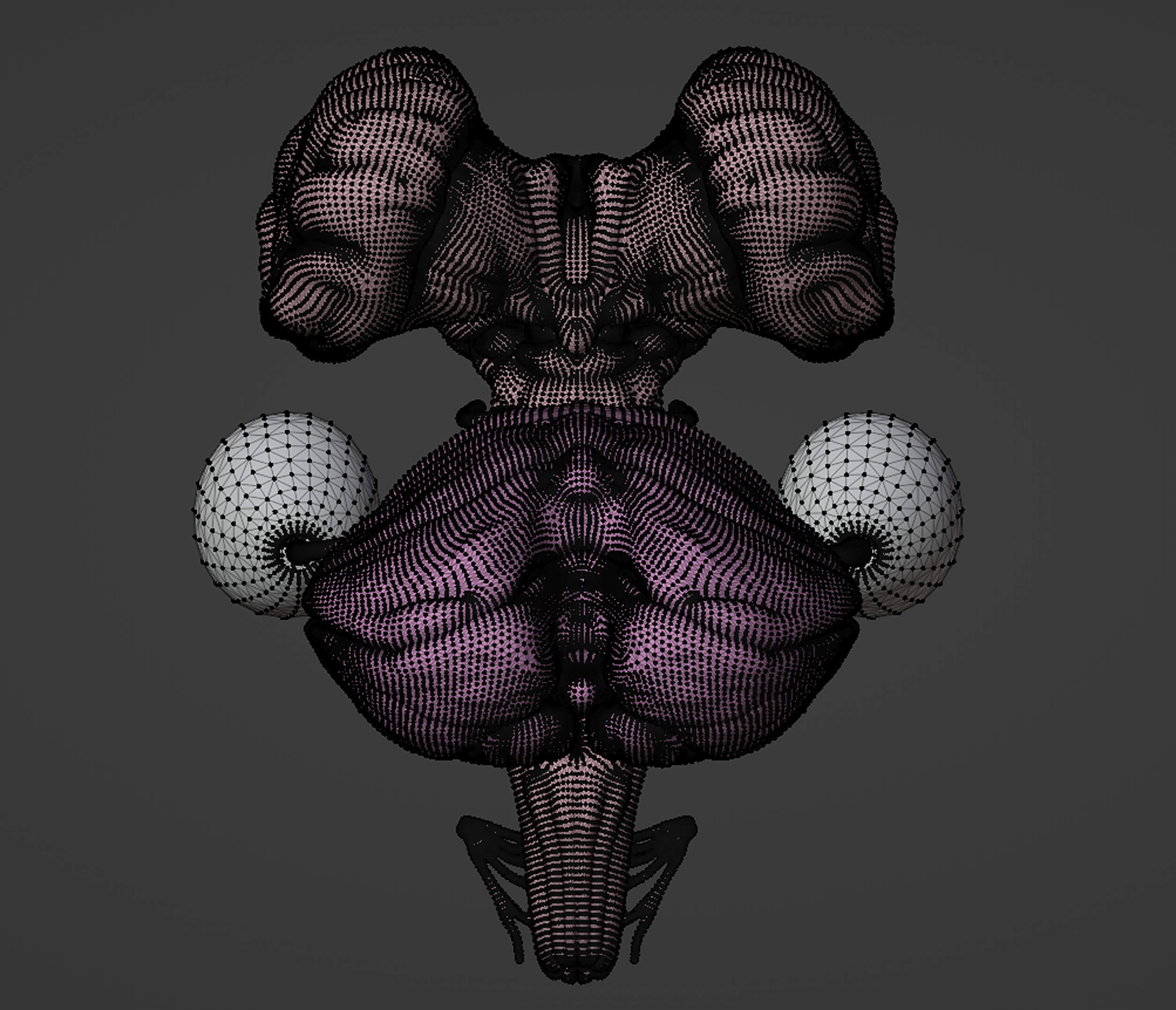 3D Model of Brain Stem and Cranial Nerves by azekapeka