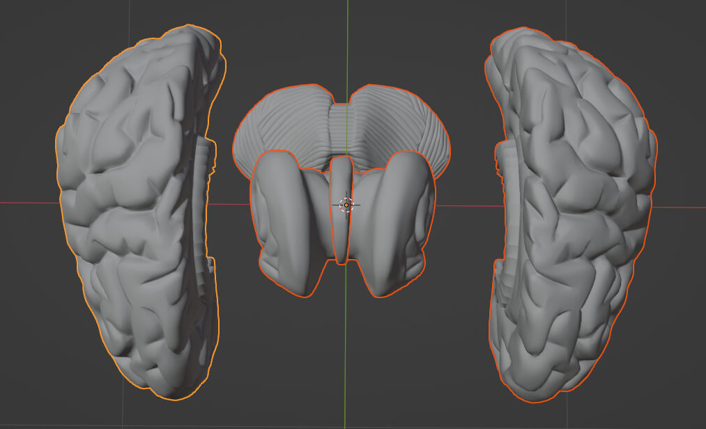 3D Model of Brain With Cerebellum and Brain Stem by azekapeka