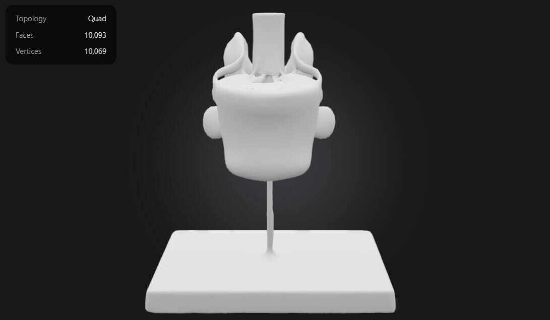 3D Model of Lumbar Vertebrae With Spinal Cord and Nerves by azekapeka