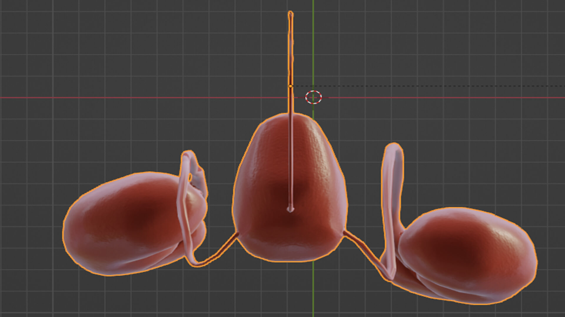 3D Model of Urinary System by azekapeka
