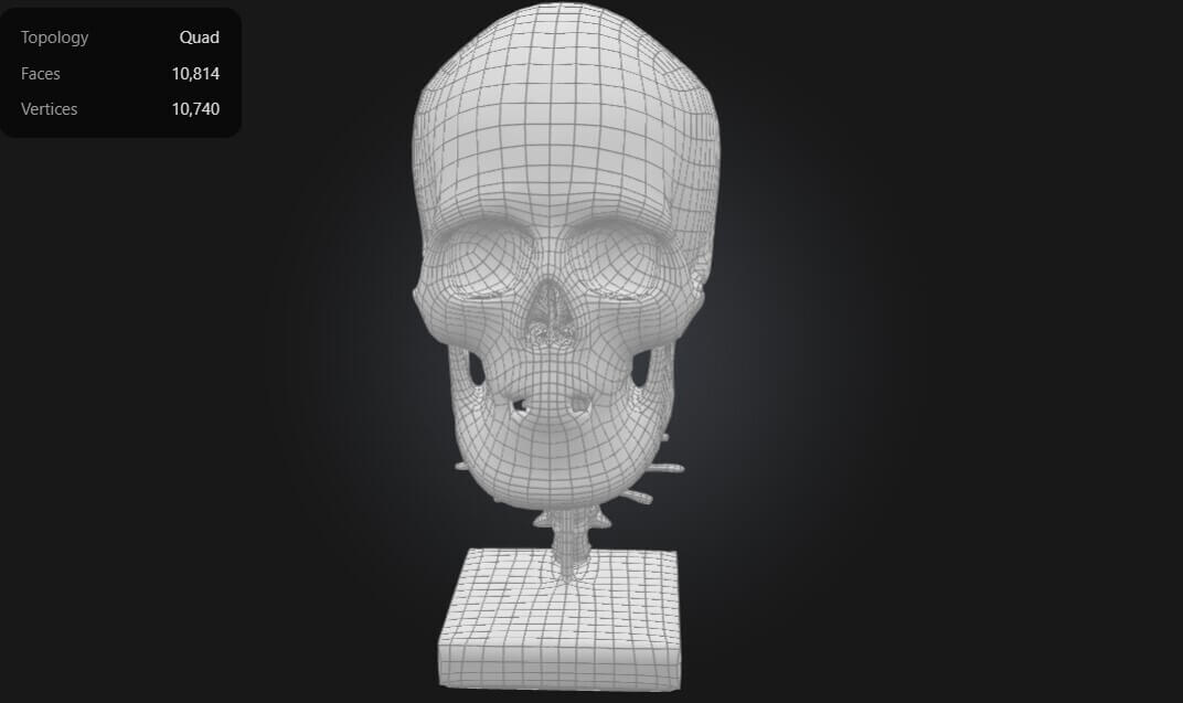 Dynamic Skull Didactic Skull on Cervical Vertebrae With Nerves and Artery - 3D Model ...