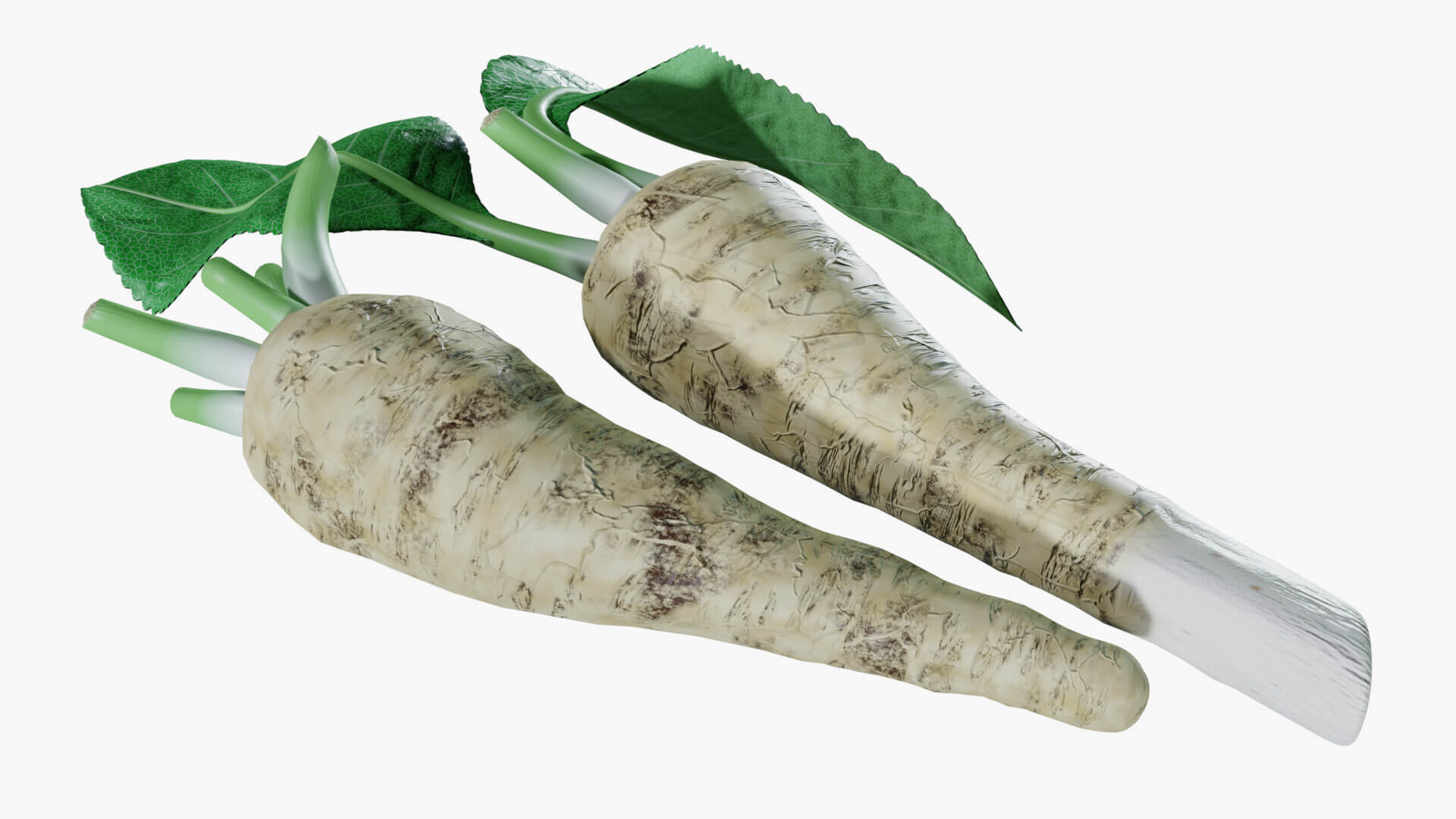 Horseradish Roots 3D Model by Blenduffo
