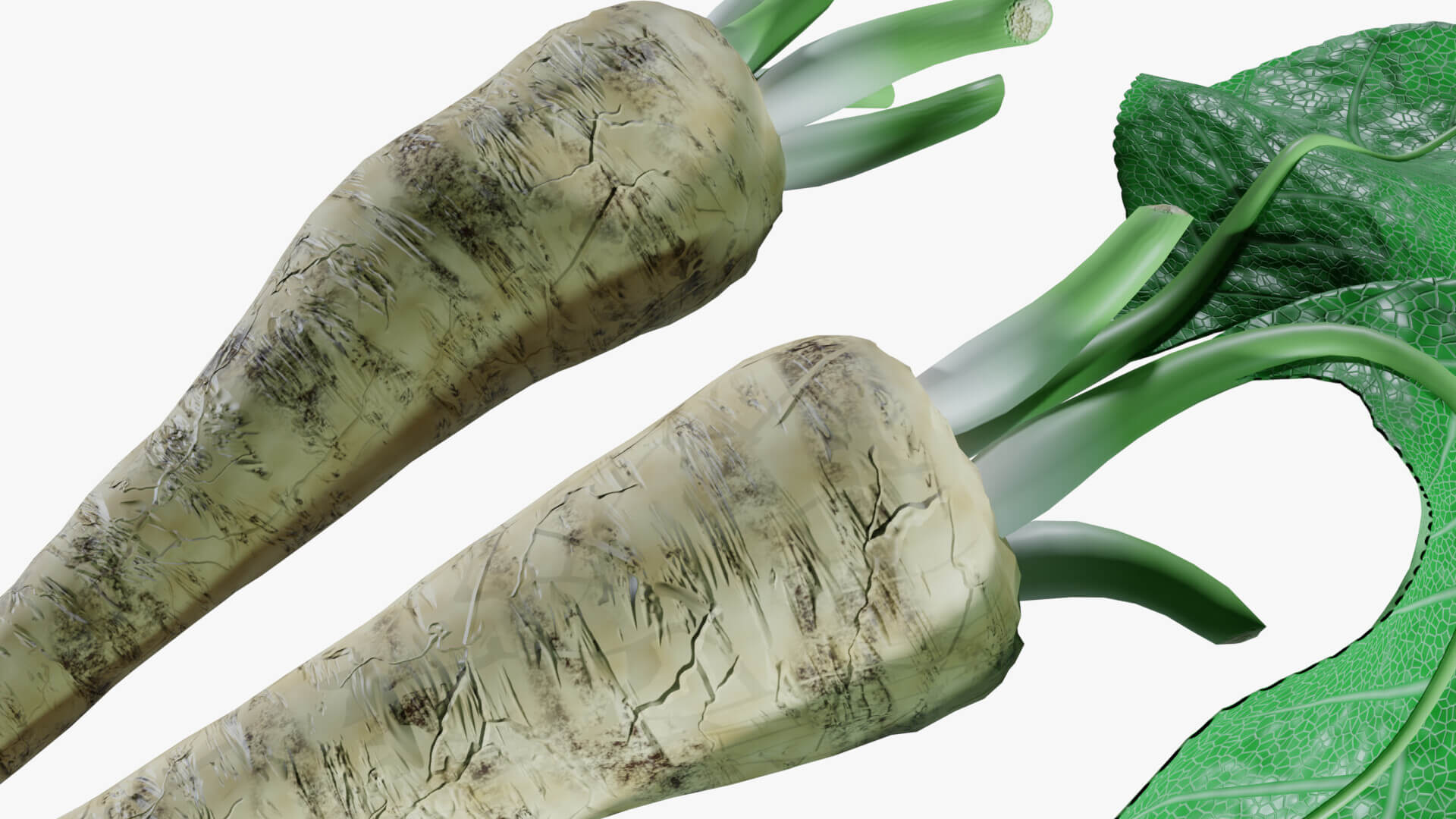 Horseradish Roots 3D Model by Blenduffo