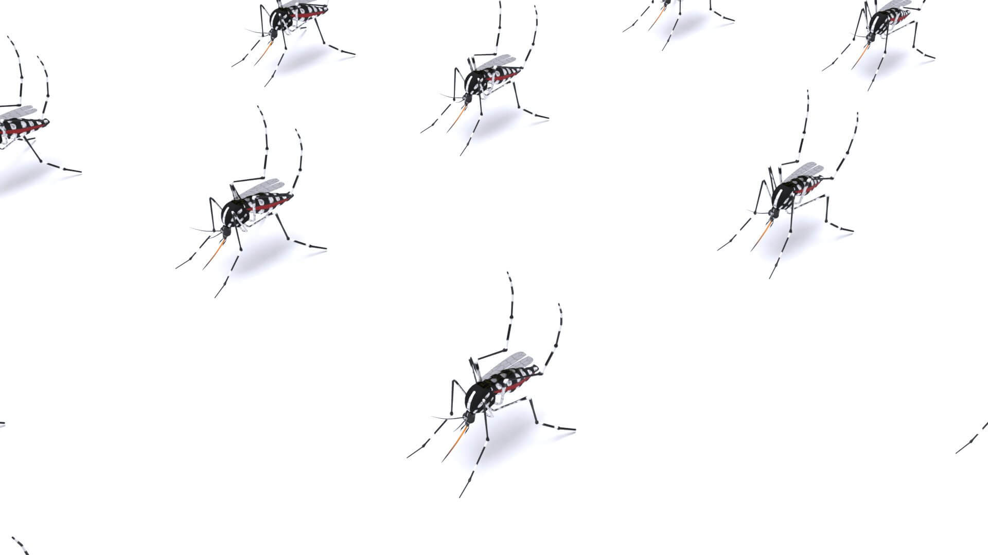Mosquito (textured) - 3D Model by Blenduffo - Textured Mosquito Apartment Interior