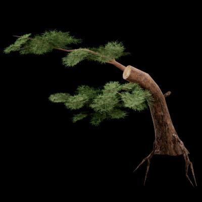 Realistic Tree - 3D Model by BotaniCraft3D
