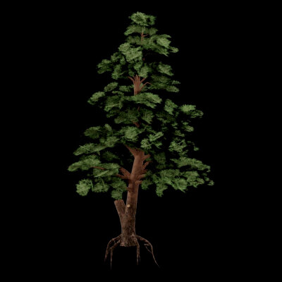 Realistic Tree - 3D Model by BotaniCraft3D