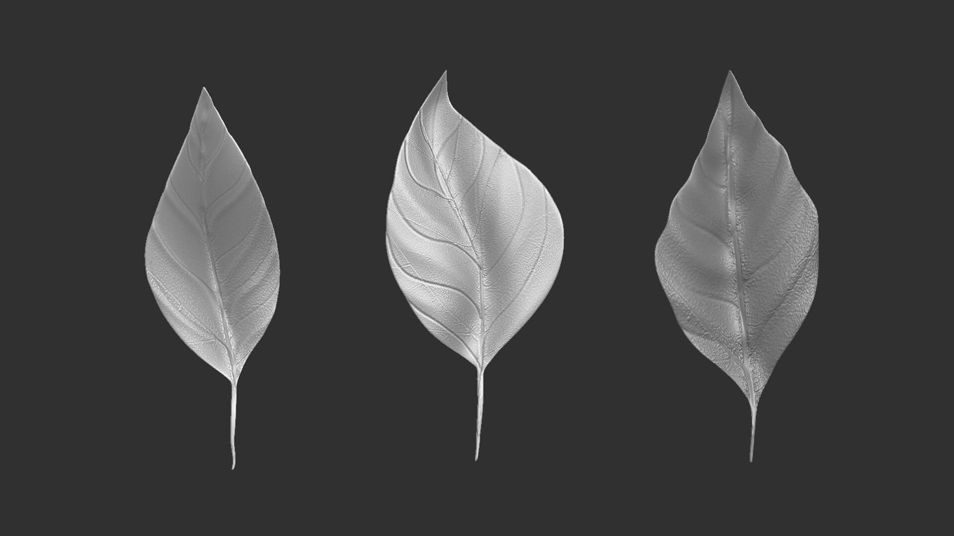 14 HighPoly Leafs and Branches Zbrush IMM Brush Set 3D Model by