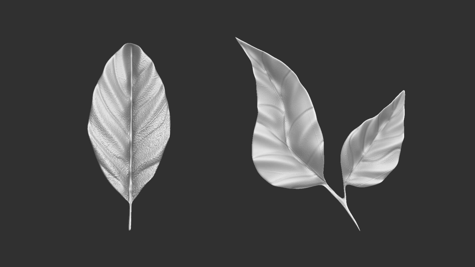 14 HighPoly Leafs and Branches Zbrush IMM Brush Set 3D Model by