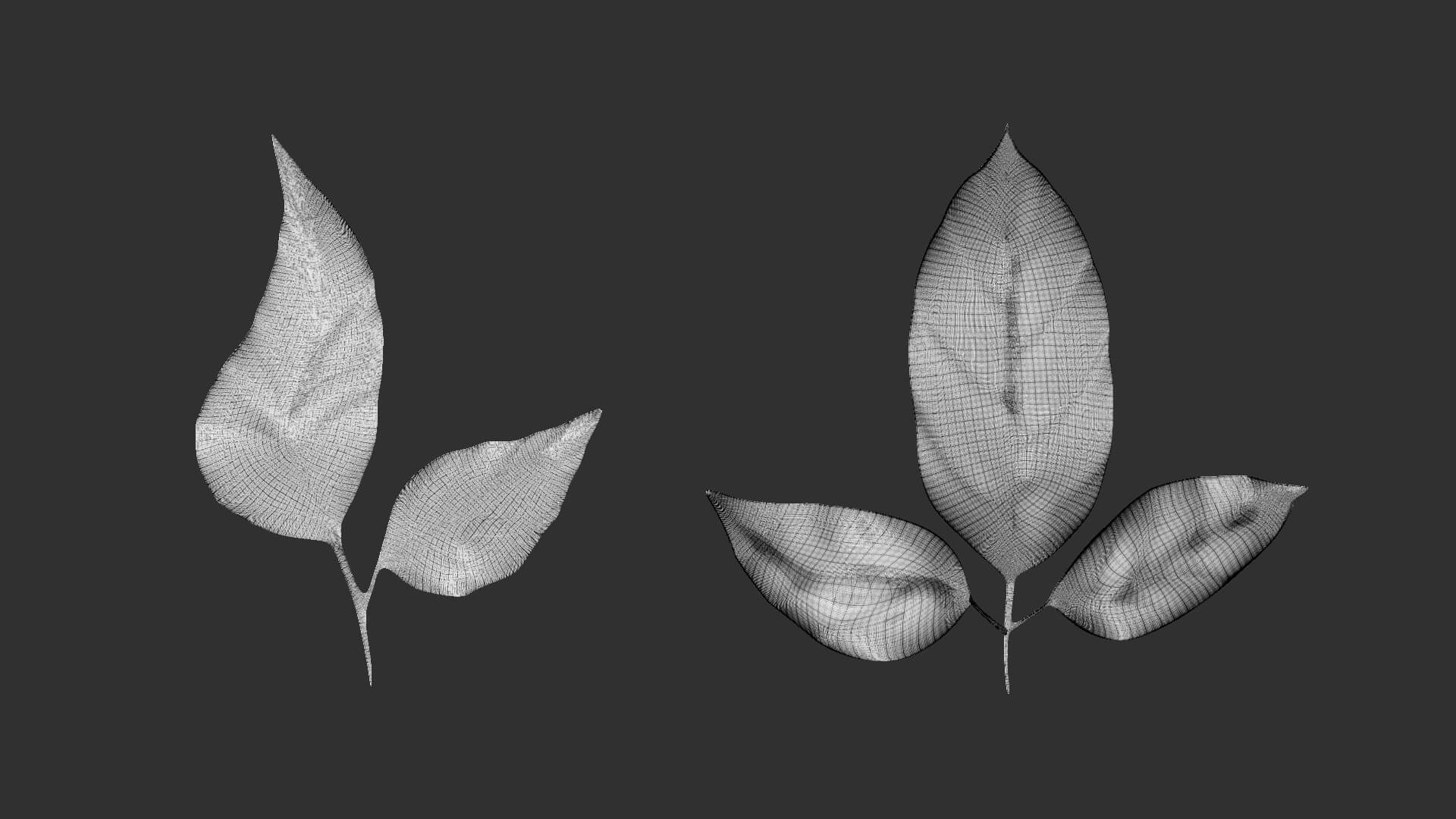 14 HighPoly Leafs and Branches Zbrush IMM Brush Set 3D Model by