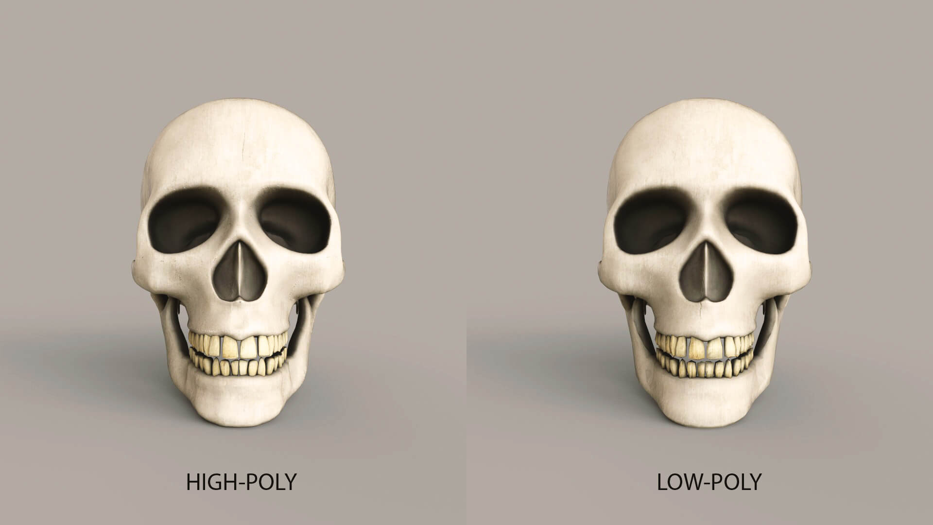 Snulls Human Skulls - 3D Model by BSW2142