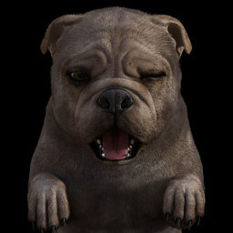 bulldawg - Download Daz Content at RenderHub