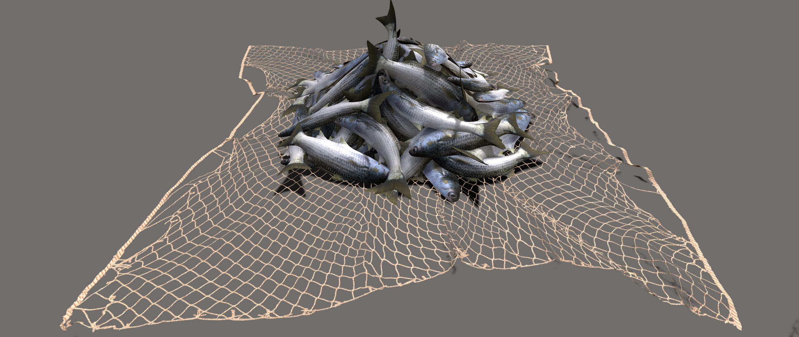 Fishing Net Low Poly 3D Model by Buncic