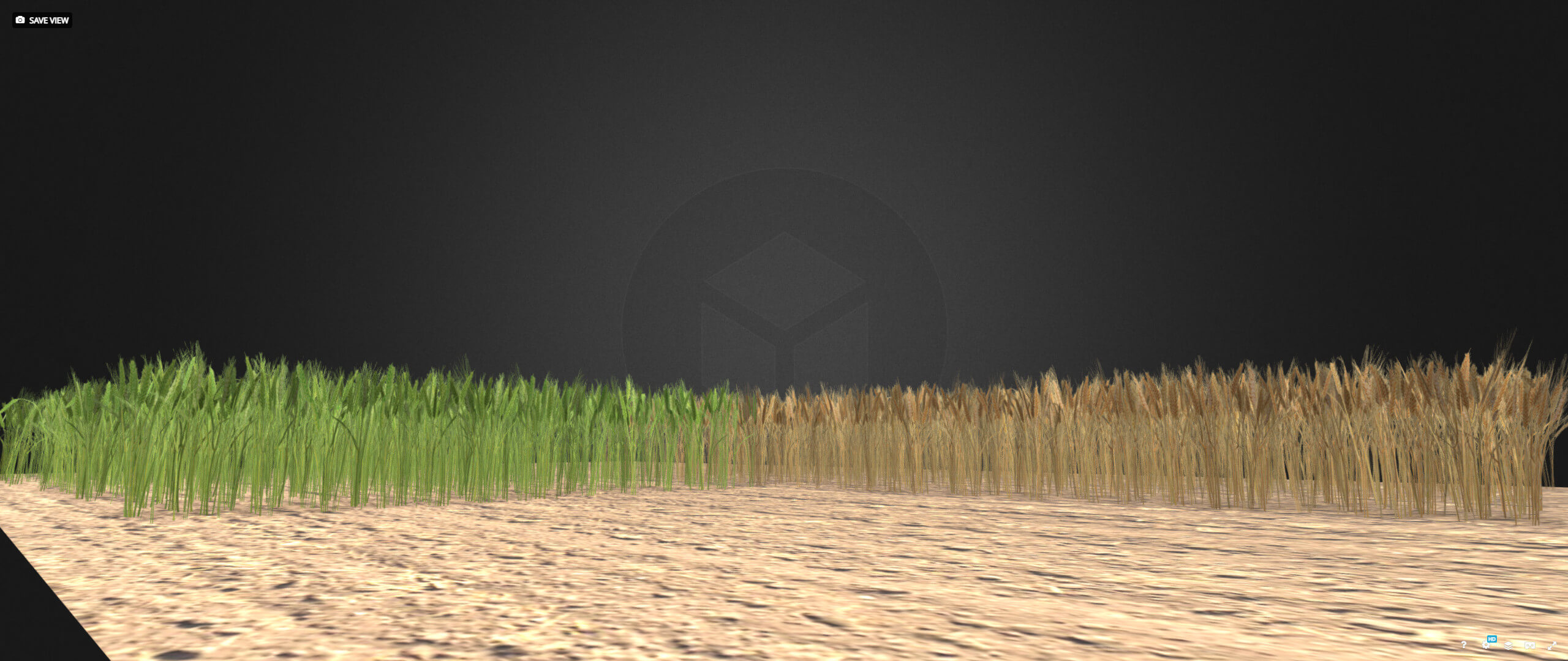 Wheat Field 3D Model by Buncic