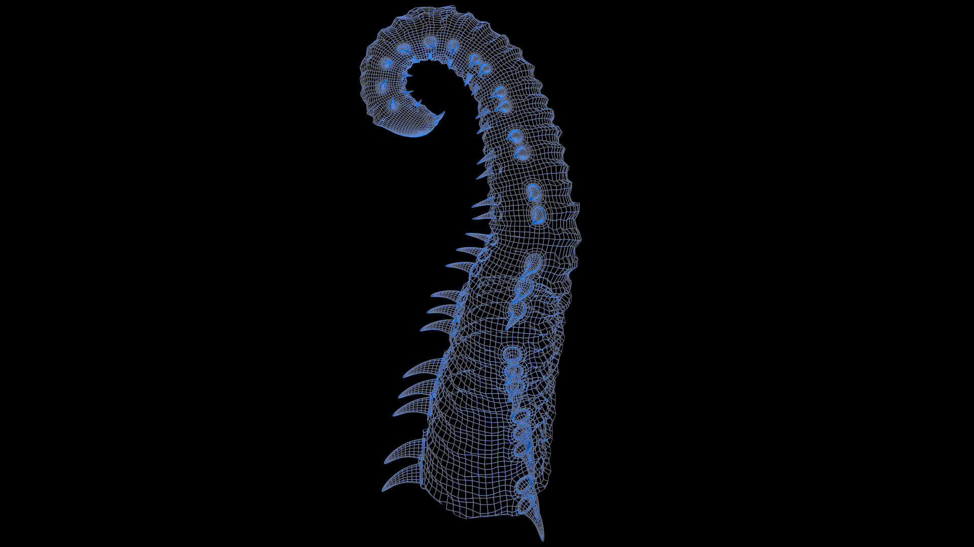 Worm Tentacle 3d Model By Buncic 