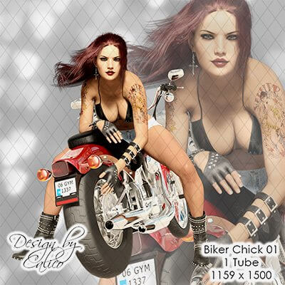 Biker Chick 01