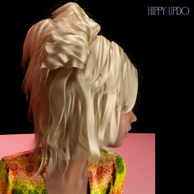 Hippy Updo dForce Hair for Genesis 8 Female