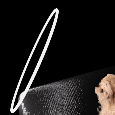 Ring Light Camera for Daz Studio