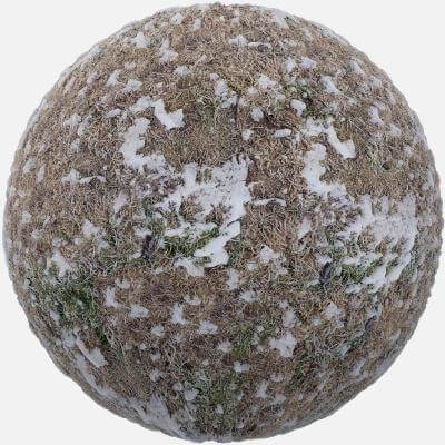 Frozen Grass with Snow PBR Texture by cgaxis