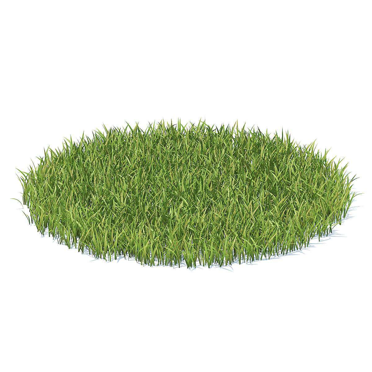Grass for modeling. Газон в 3d max. Трава 3д модель. Трава в 3ds max. «гринграс 3×3» (green grass 3×3).