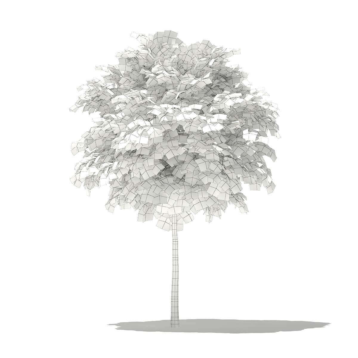 Белые деревья белые до. Белые деревья белые до. Дерево на белом фоне для фотошопа. Черные силуэты на белом фоне дерево. Белые деревья белые.