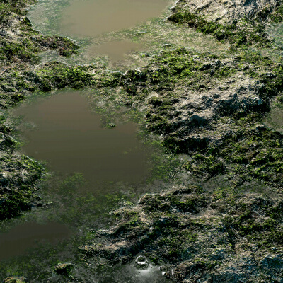 Beach Rock 8K PBR Texture