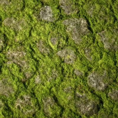 Mossy Stone PBR Texture