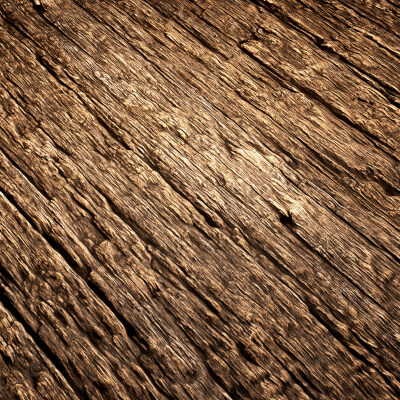 Rotting Wood PBR Texture