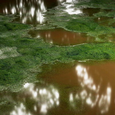 Swamp Water 8K PBR Texture