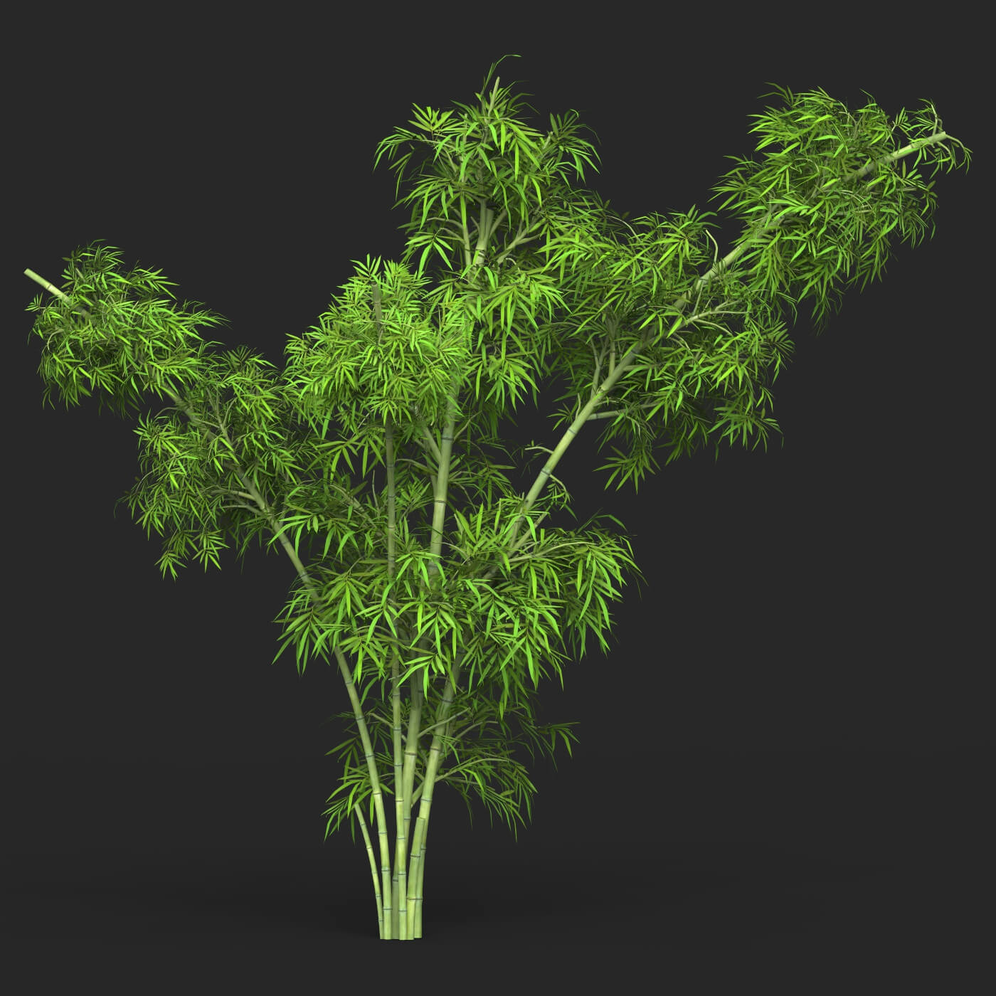 Blend tree. Blend tree