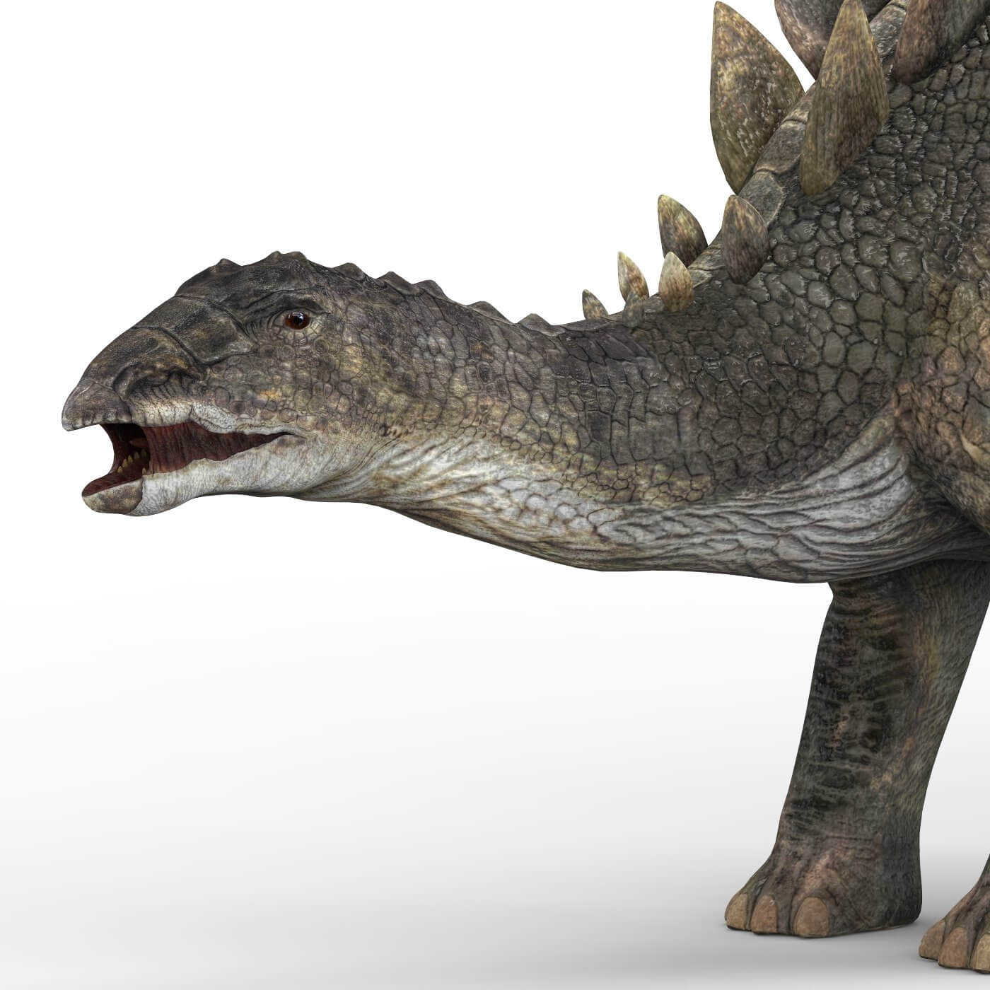 Stegosaurus Dinosaur - 3D Model by cgsea