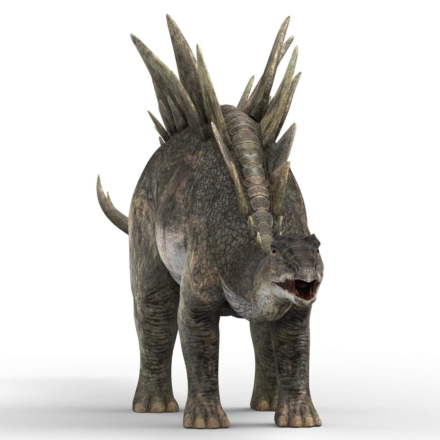 Stegosaurus Dinosaur - 3D Model by cgsea