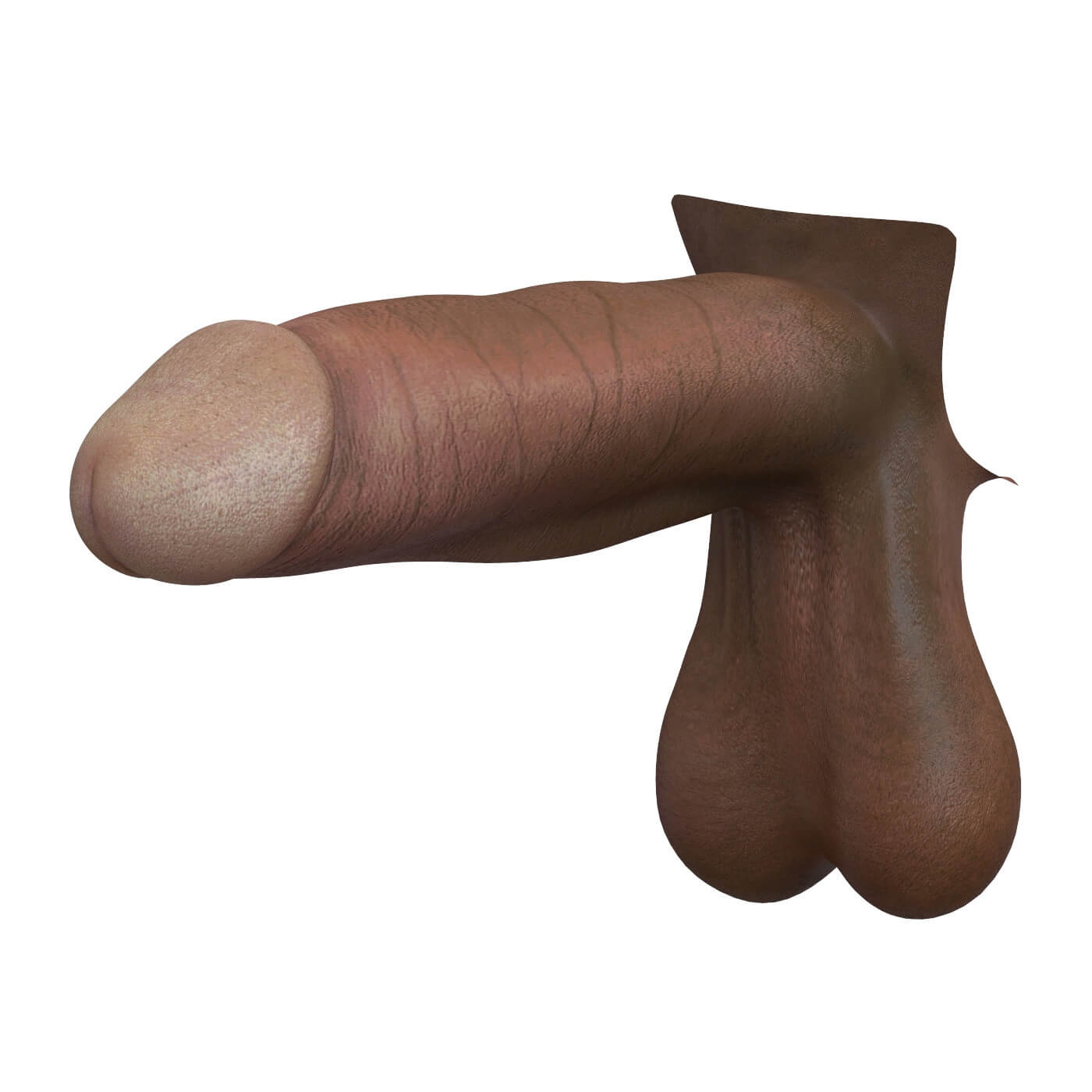 Gift the unexpected - penis wall art