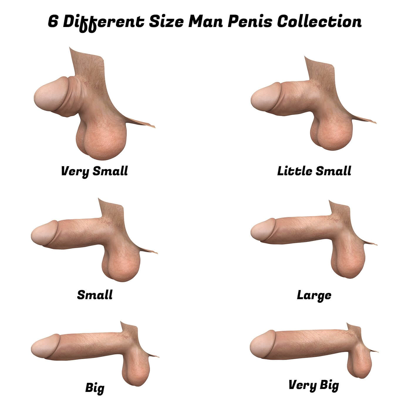 Realistic Penis