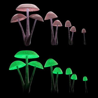 Bioluminescent Mushrooms