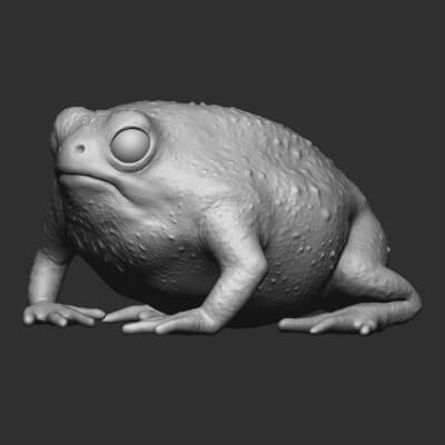 Common Rain Frog 3D Print