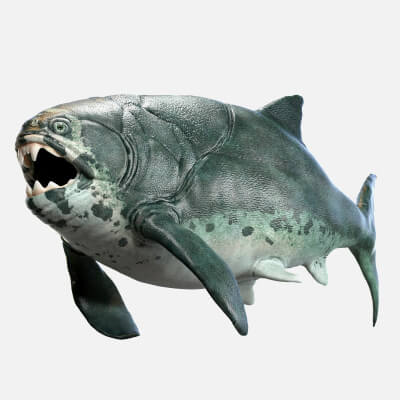 Dunkleosteus Terrelli by CGZen