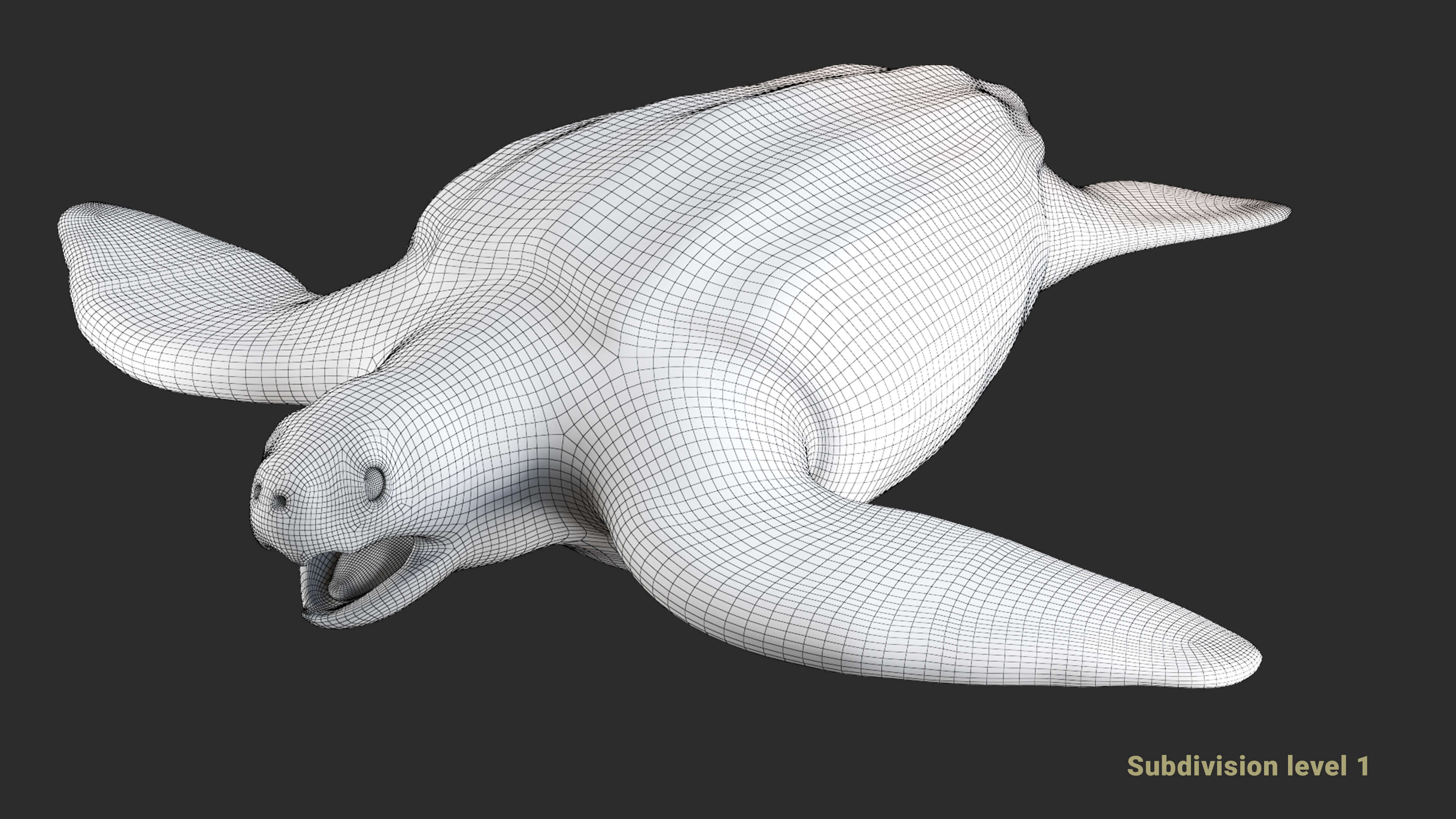 Leatherback Sea Turtle - 3D Model by CGZen