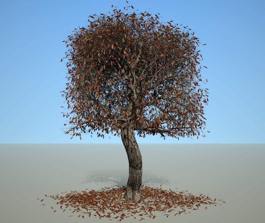Box Shaped Tree Pack (4 season) - 3D Model by chamsb11