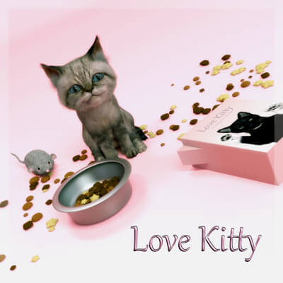 Love Kitty - Everything a Cat Loves