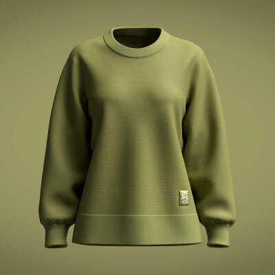 Ladies Sweater - 3D Model by Clothing Axis