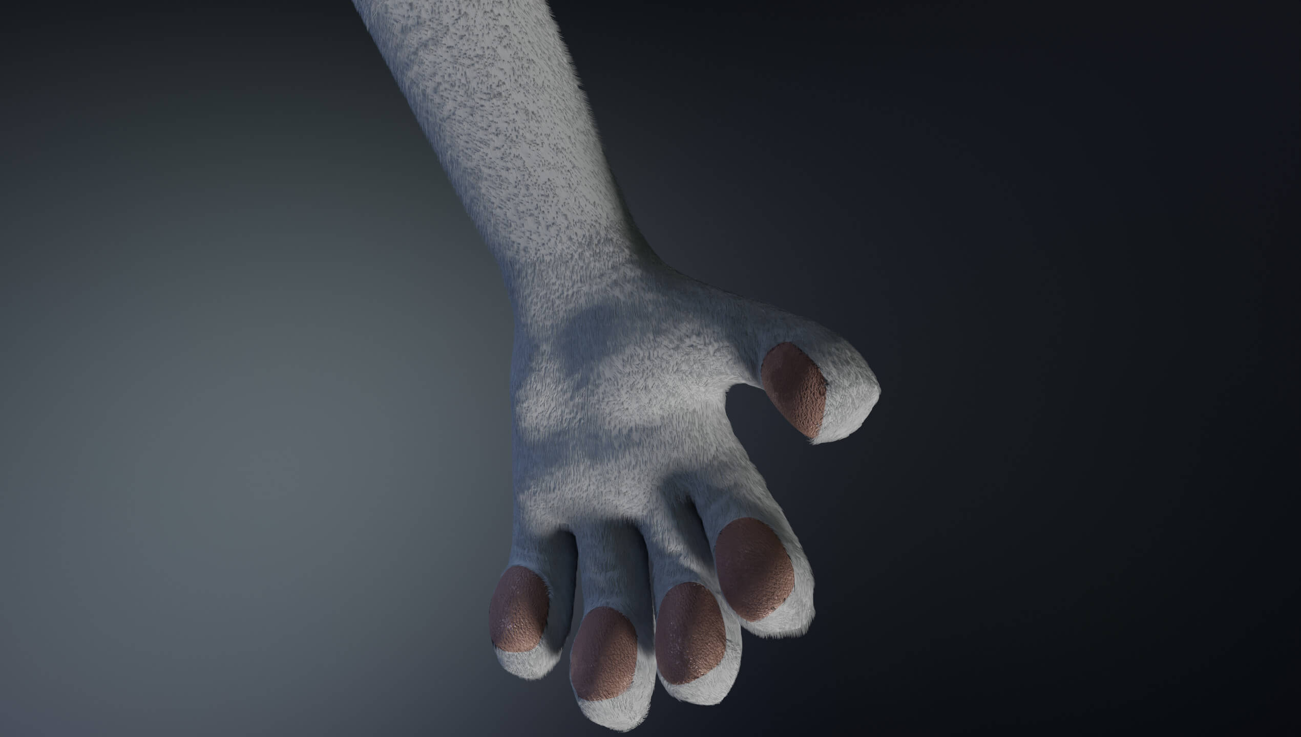 Sara Anthro Rabbit - 3D Model by CM Studios