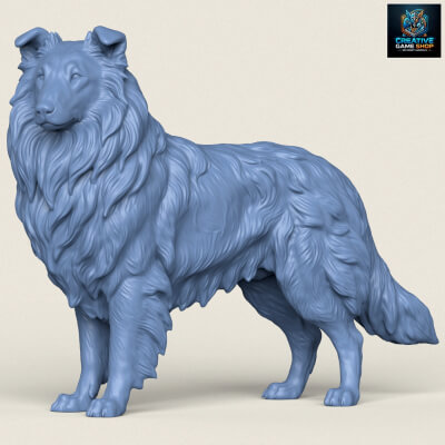 Rough Collie Dog - 3D Model by creativegameshop