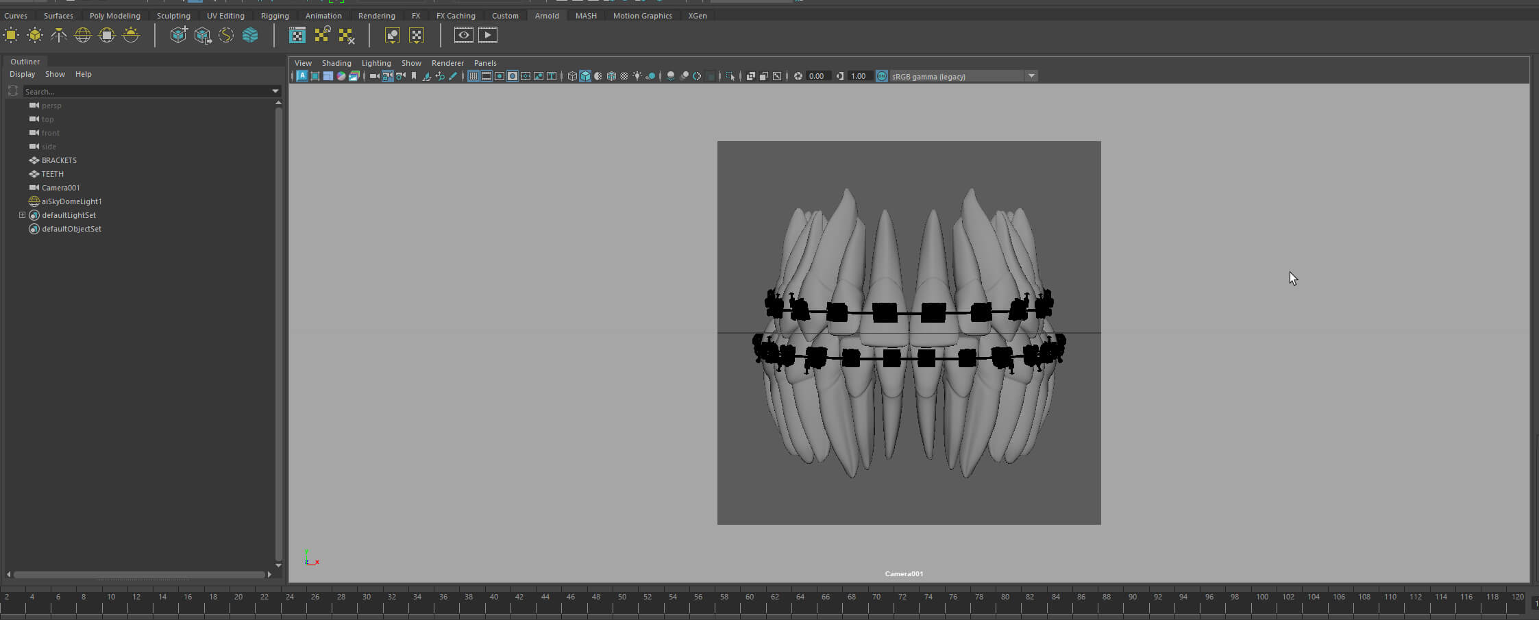 Teeth 3D Model by criismora