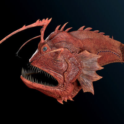 Ark: Survival Evolved - Anglerfish 3D Model by Cyberon1ck