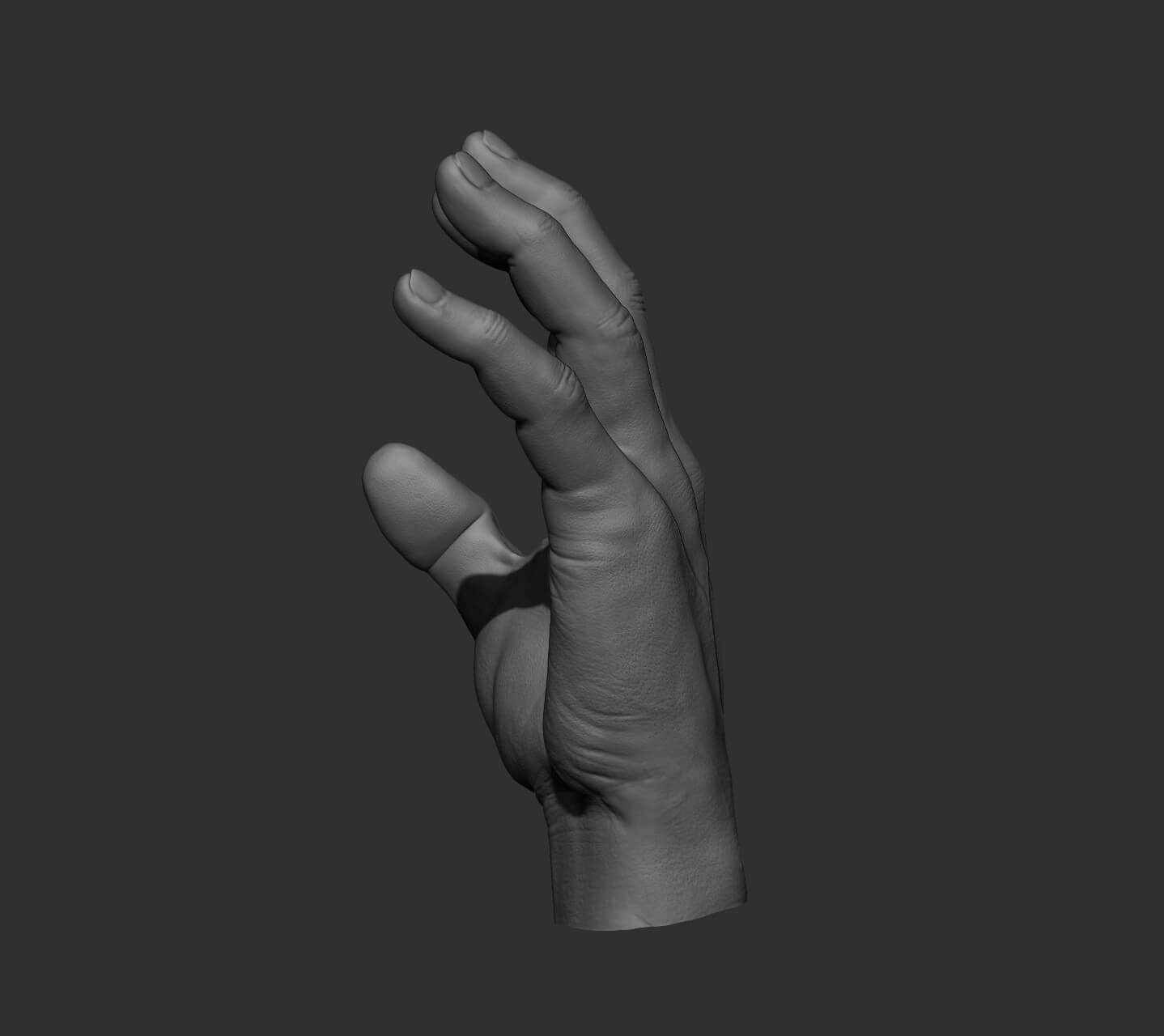 Hand Modelling Male 10 Male Hand Poses - 3D Model by Daniartist