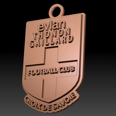 Ligue 1 Evian Thoron Gaillard Team Printable and Renderable
