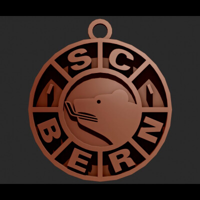 Nla SC Bern Printable Logo