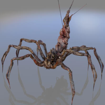 RE4 Remake Plaga Parasite