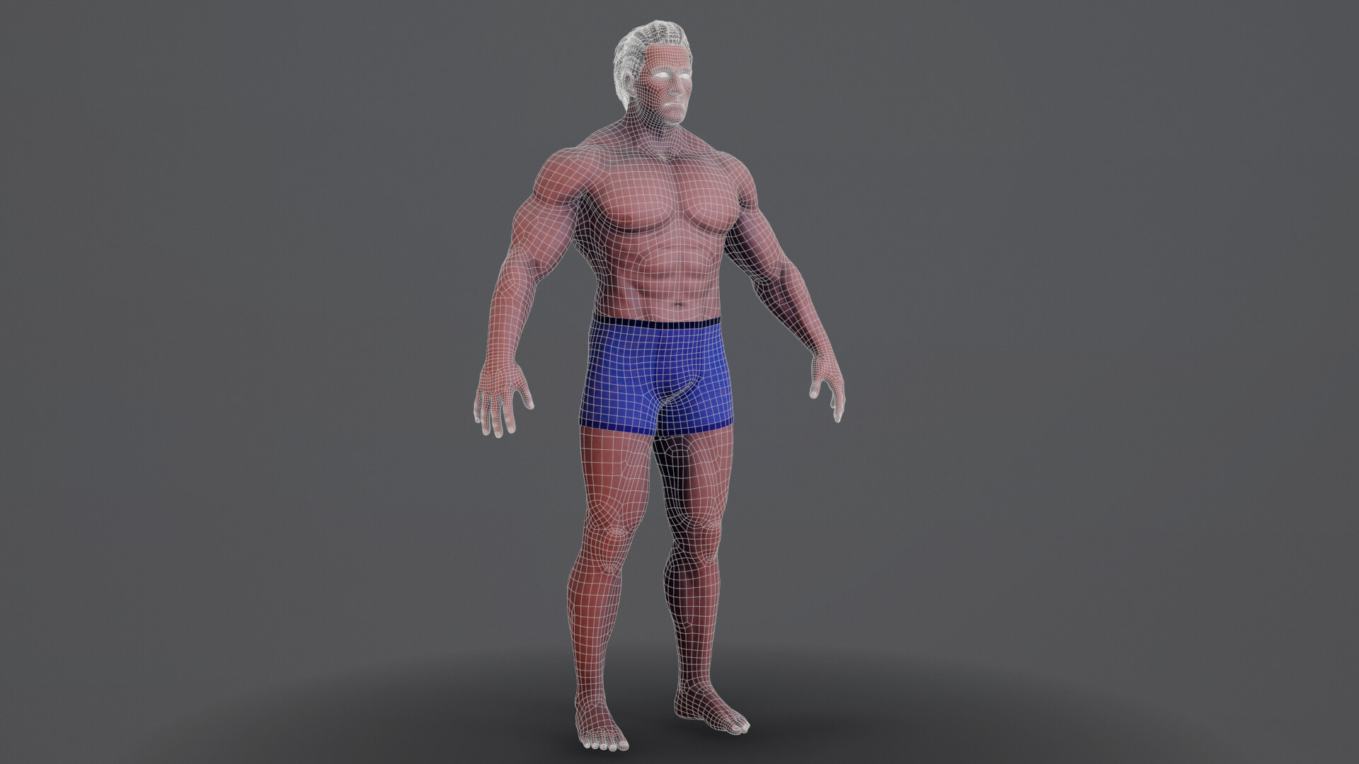 Bodybuilder V02 - 3D Model by Davlet